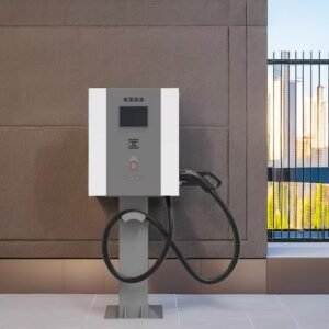 Read more about the article OEM 40 kW Portable DC EV Charger for BYD
